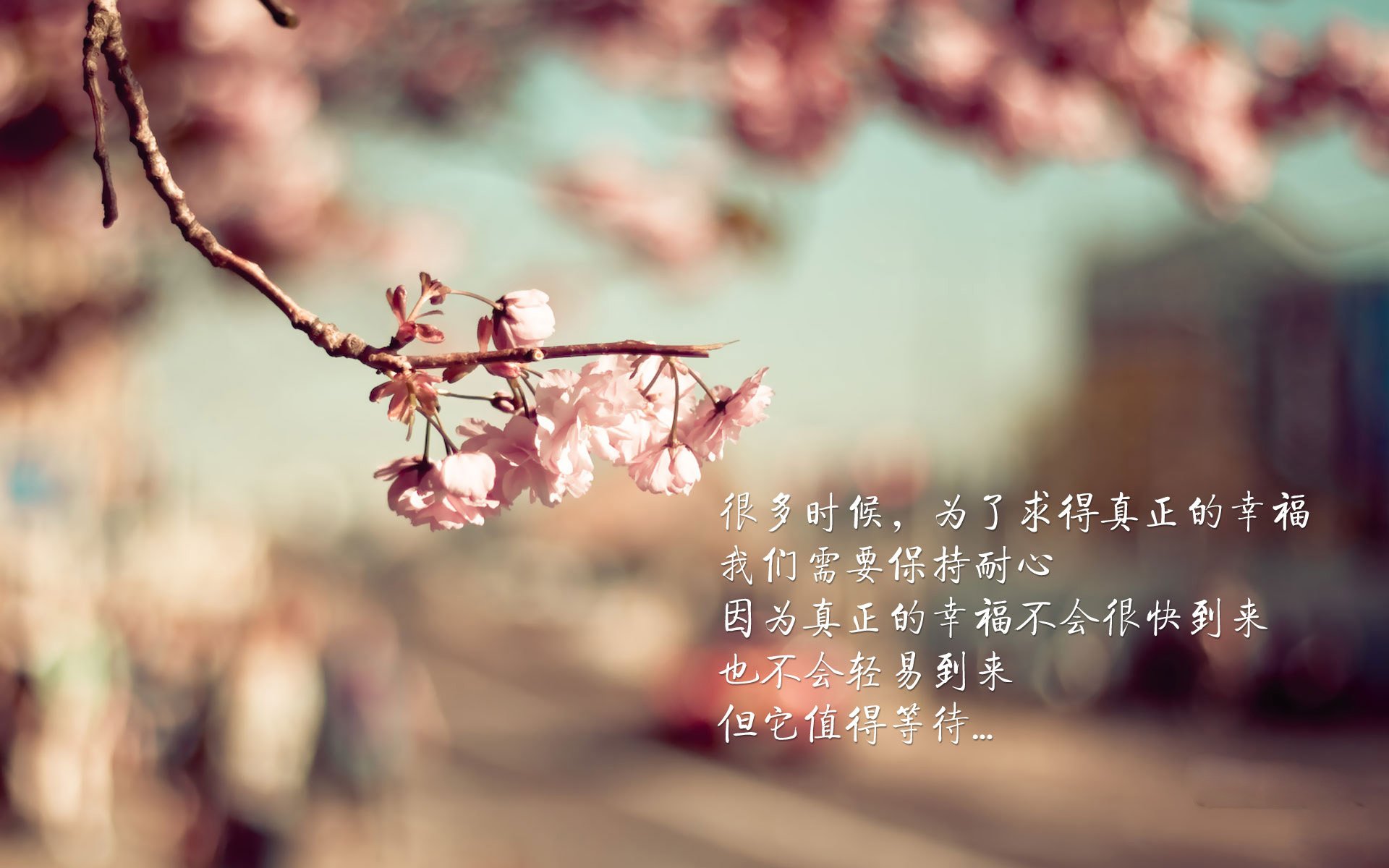 2025年中国篮球联赛最令人期待的十大比赛，2020中国篮球赛事