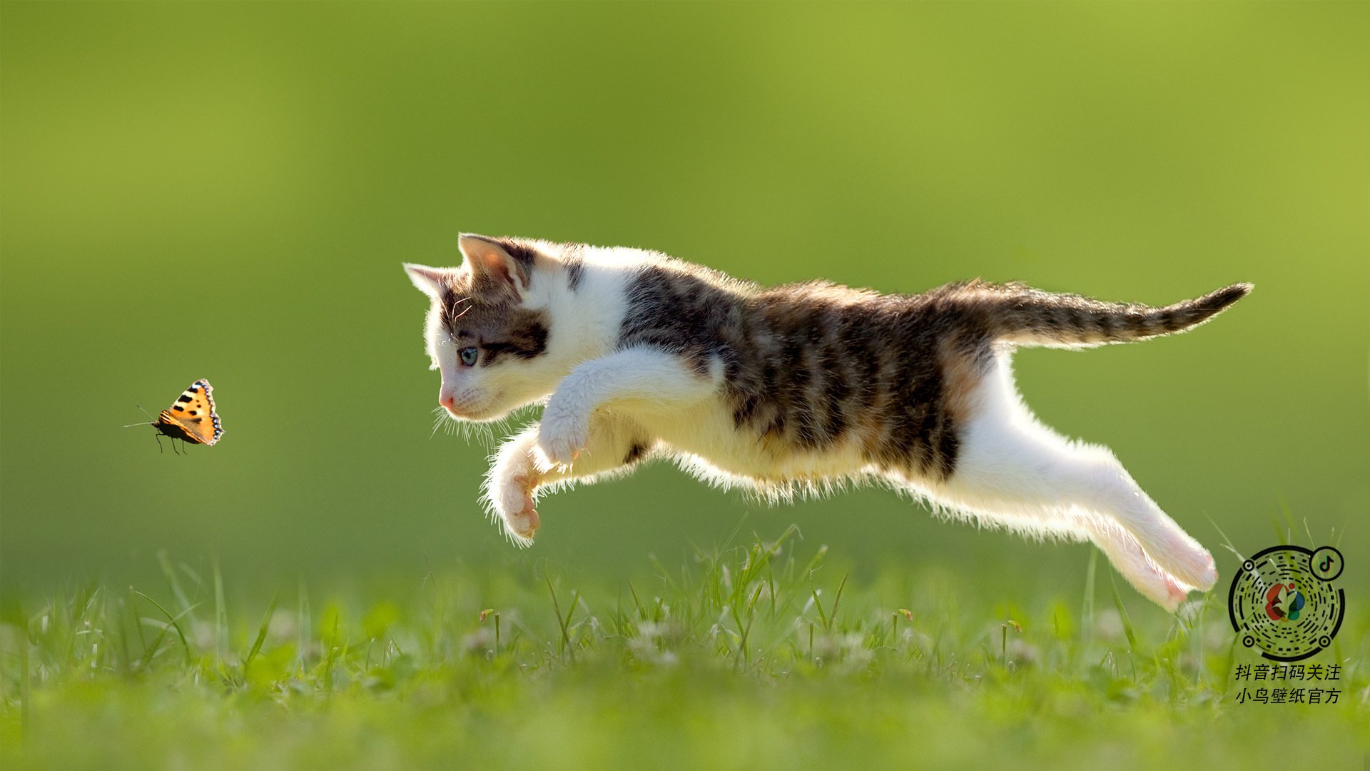 九游官网pc-_无边泳池派对：在水中畅享运动乐趣_，无边泳池在哪里