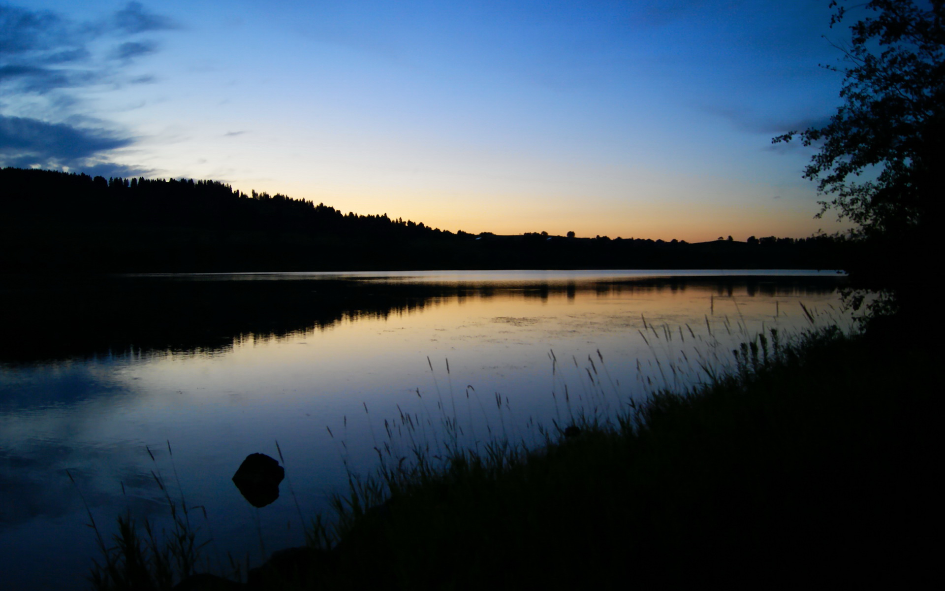 _明星主持加盟:赛事带来更多趣味互动_,主持人介绍明星开场白