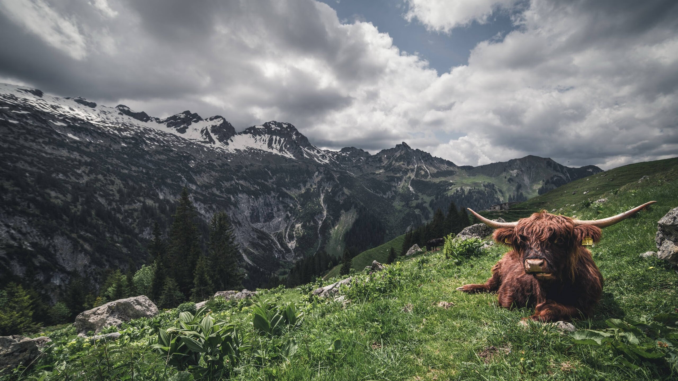 _青少年运动员成长路径：从训练营到职业舞台_，青少年运动员选材与培养