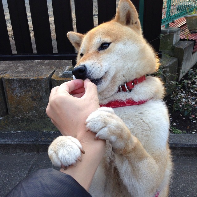 历史上的今天:球队夺冠的经典瞬间,球队历史战绩