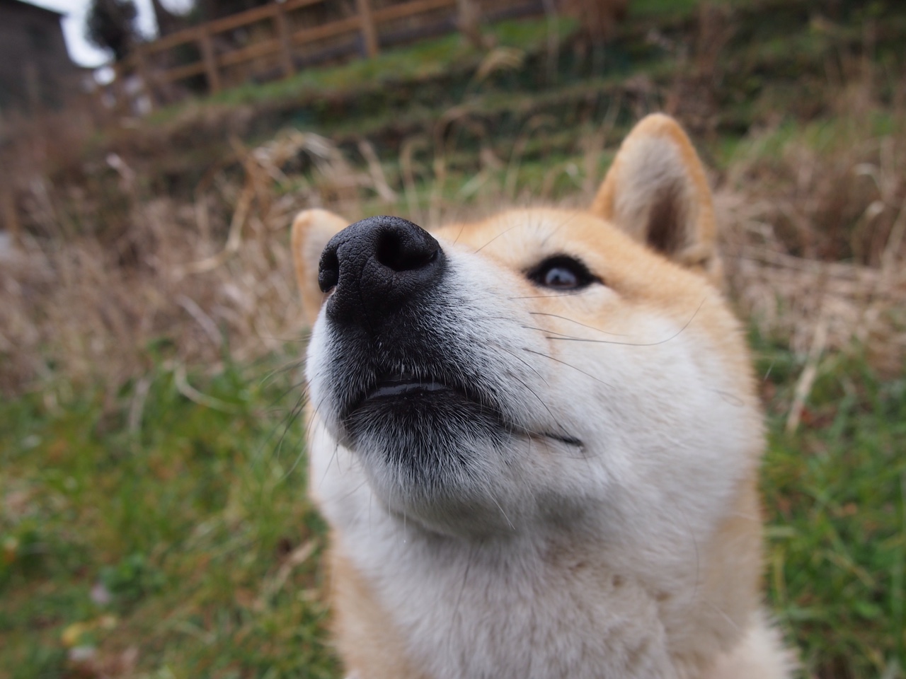 九游网游官网-历史上的第一人：首次夺冠的瞬间，第一位冠军