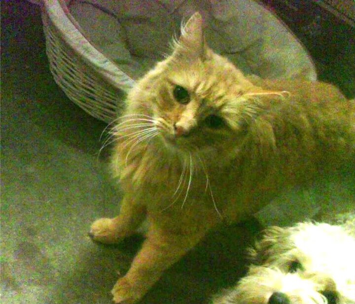 历史上的经典“5分钟”：那些决定生死的瞬间，决定生死的时刻 句子