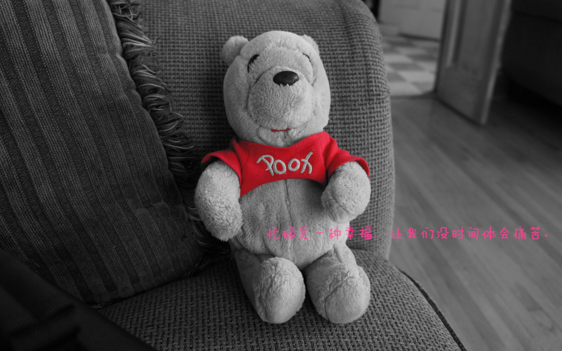 篮球明星公益慈善活动影响范围扩大,篮球公益活动方案