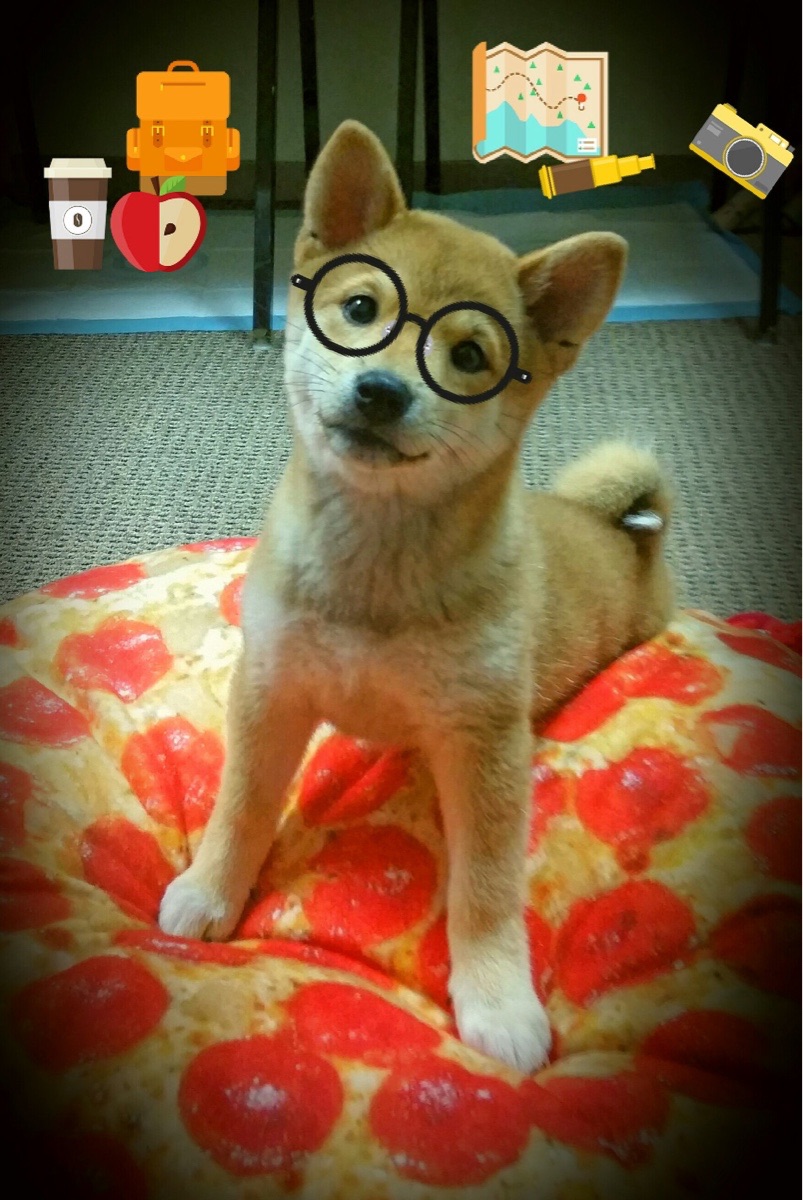 九游电脑版-篮球明星公益活动影响力不断扩大，篮球公益营销策划方案