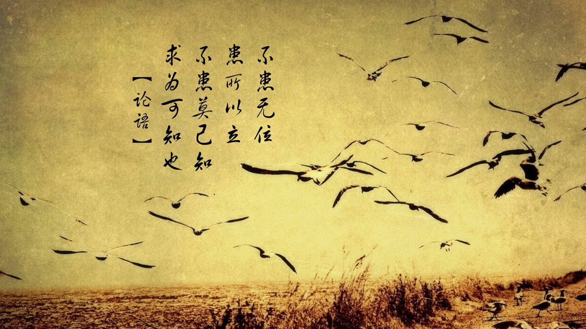 九游下载中心-英超悬念继续：曼联主场战平切尔西，榜首悬念再度升温，曼联对战切尔西