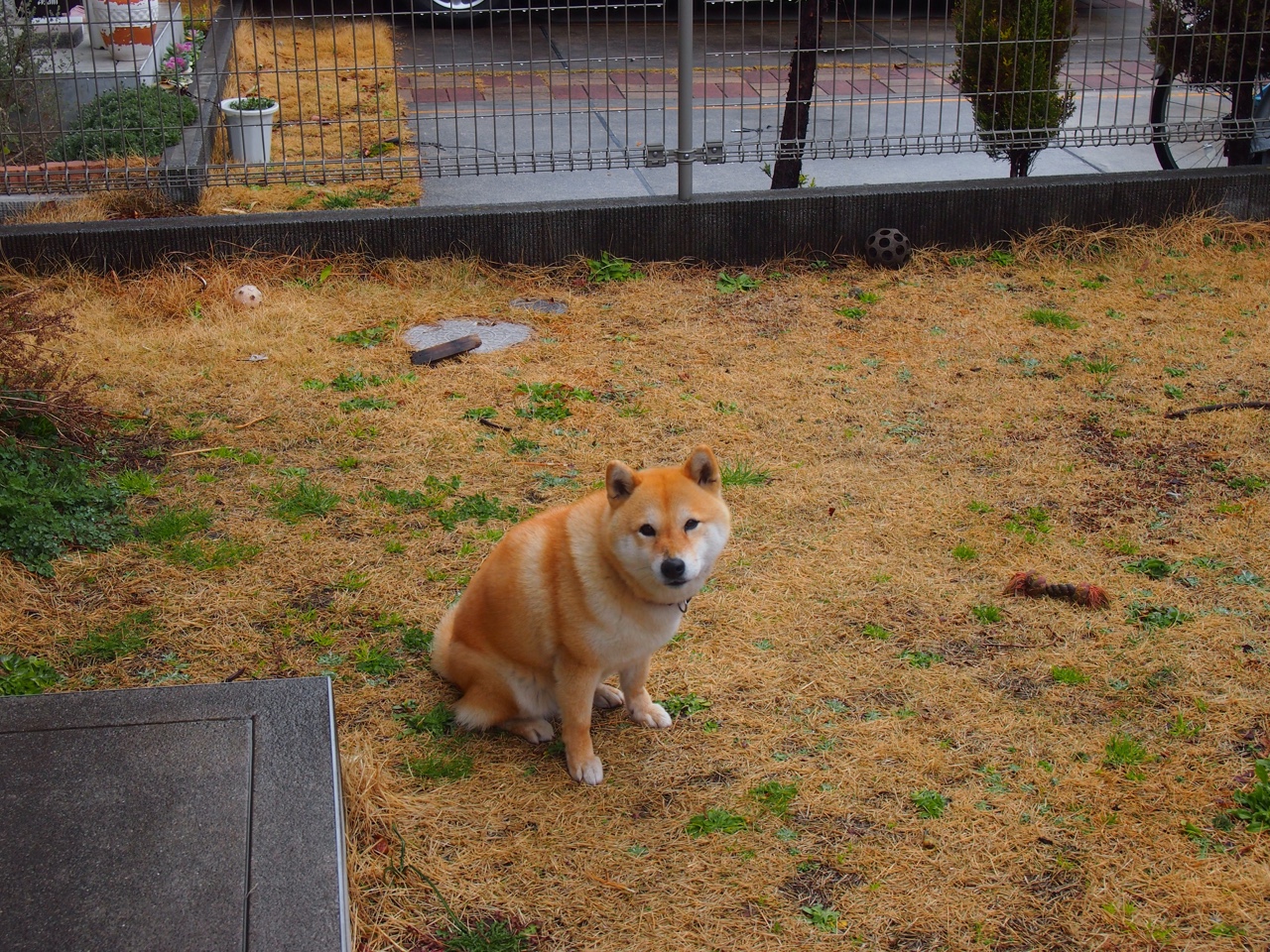 九游网-顶尖“攻击手”谁称王？欧冠射手榜最新排名，欧冠射手榜排行