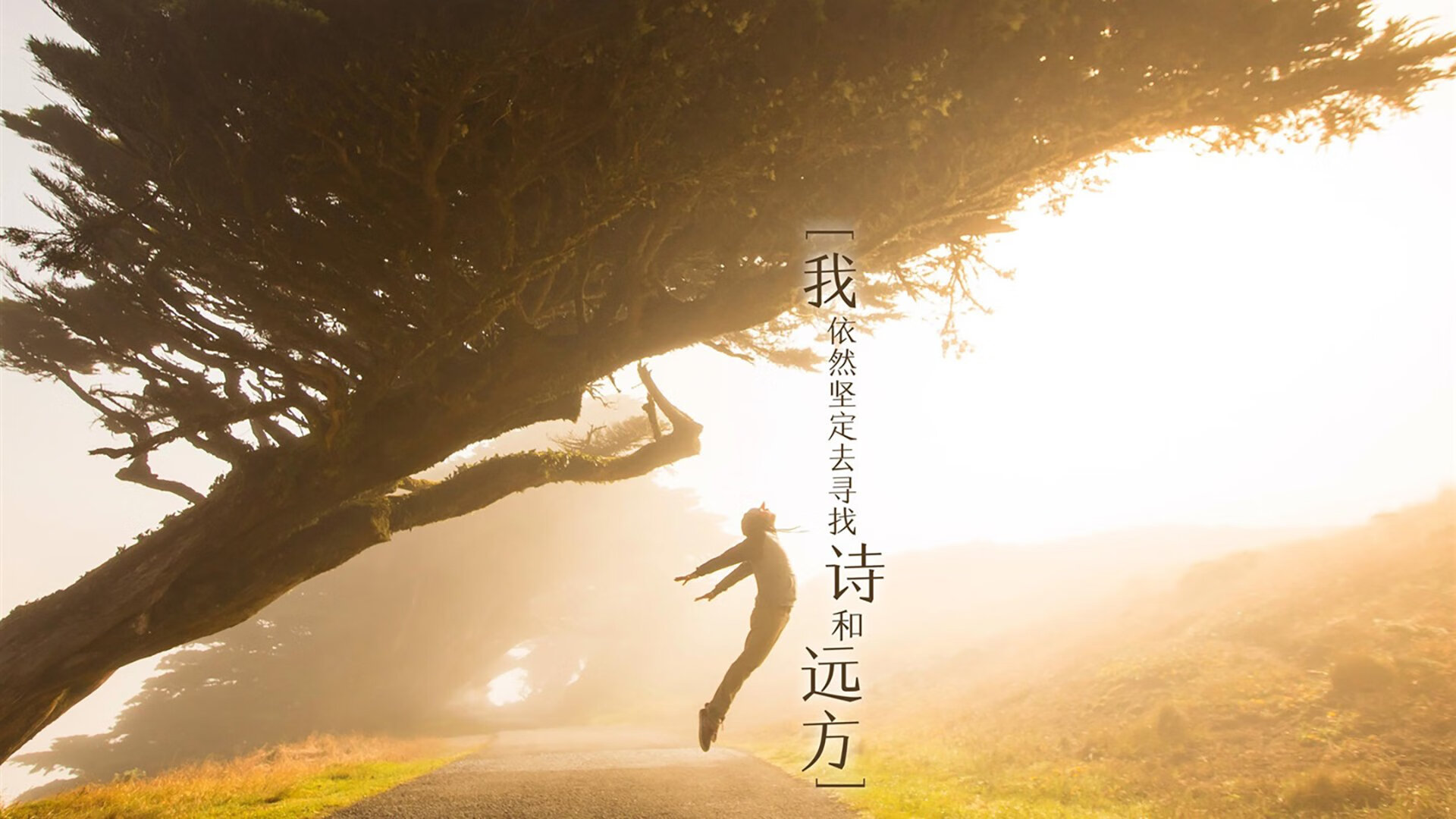 九游下载官网-克罗地亚欧预赛夺冠，晋级形势向好，克罗地亚欧预赛战绩