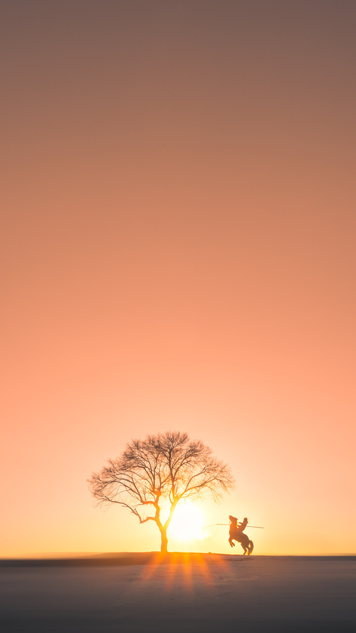 多国球队在赛场上一决高下,带来精彩瞬间