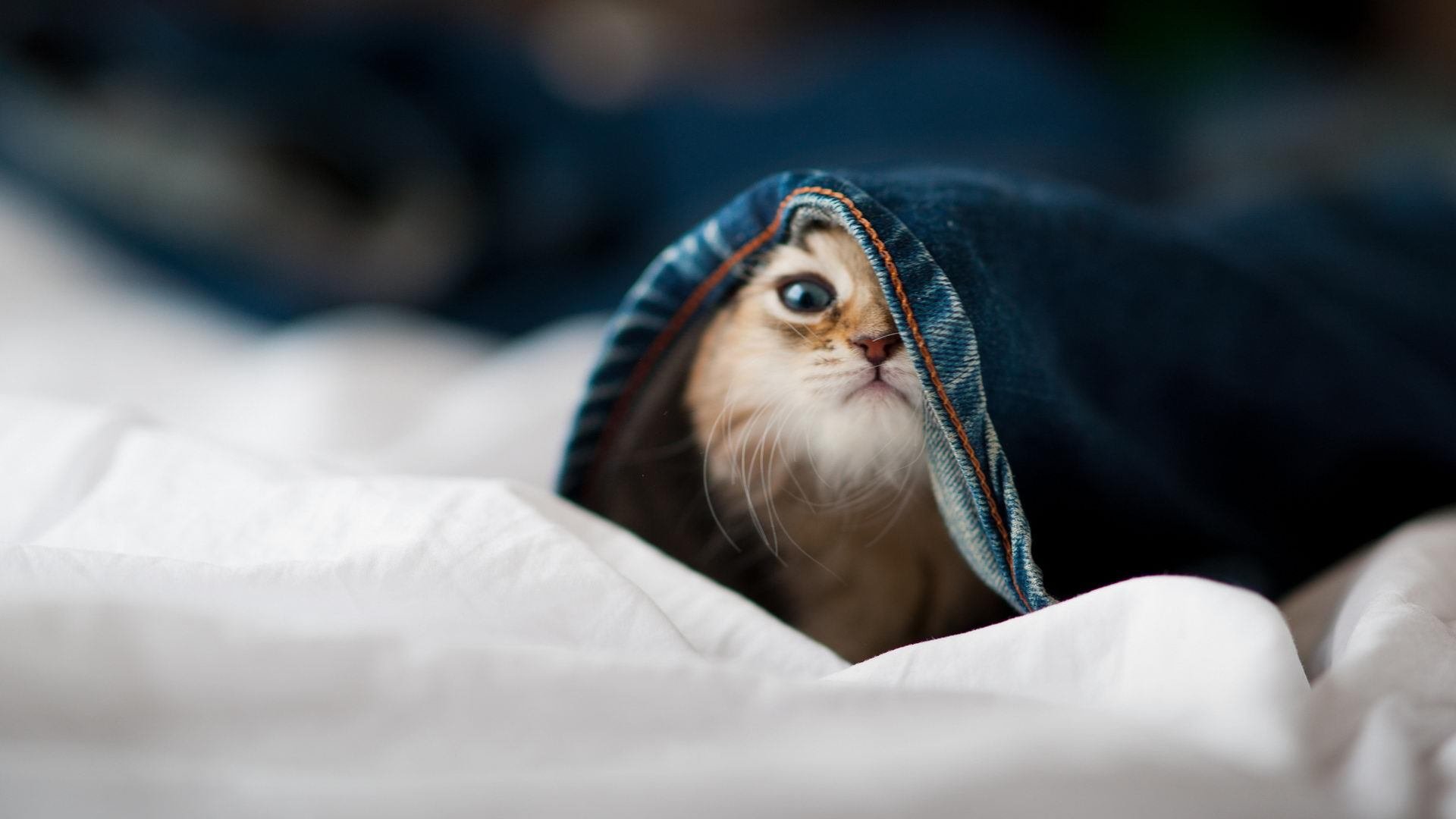 九游娱乐官网 (JIUYOU)-是否应将联盟部分收入用于球员再教育