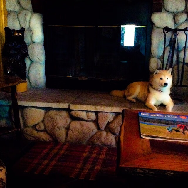 九游网页版入口-篮球运动员技能训练新方法，篮球运动员如何锻炼身体