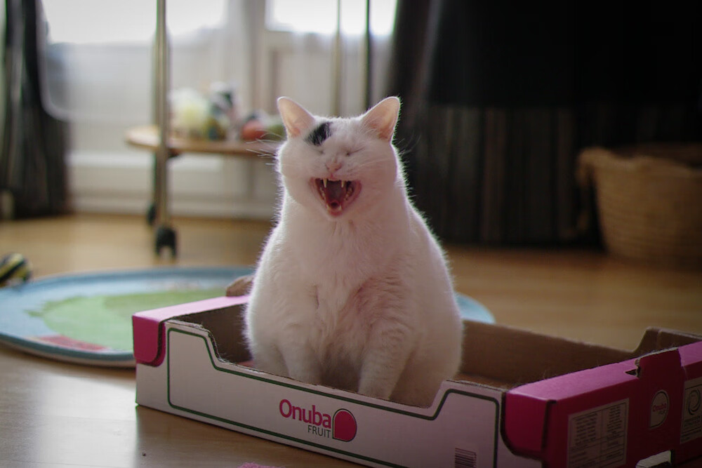 九游sports-篮球运动员技能训练方法，篮球运动员技能要求