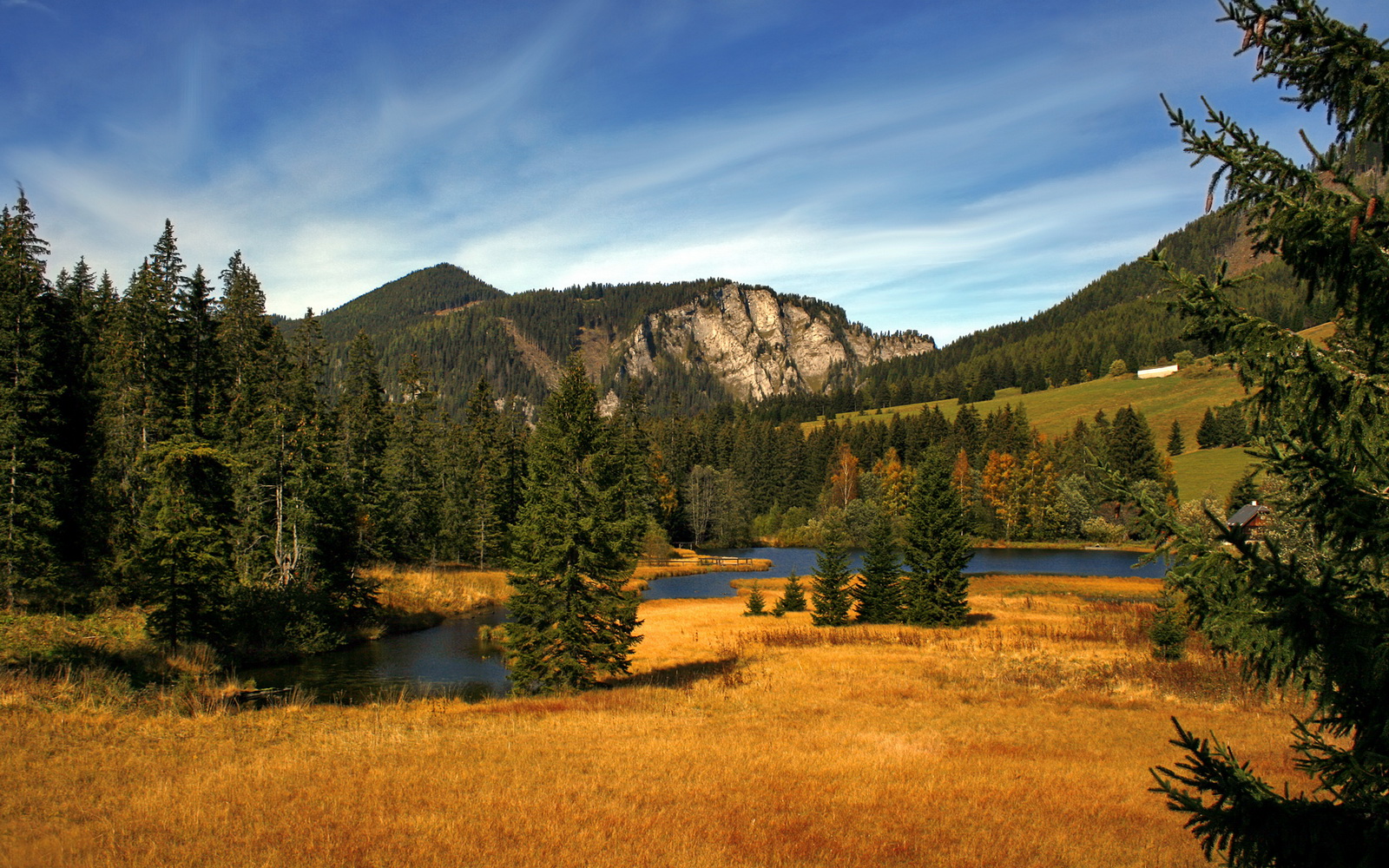 联盟是否应加强球员海外亲善访问计划