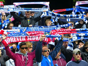 九游9游-球迷文化盛宴：从欧洲到亚洲的足球狂欢，中国足球球迷文化