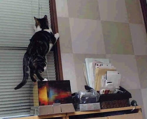 CBA球队完善伤病防护体系 保障球员健康，cba球员受伤后的医药费由谁承担