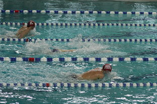 九游娱乐官网 (jiuyou)-中国游泳运动员世锦赛接力项目表现抢眼，中国游泳接力夺金