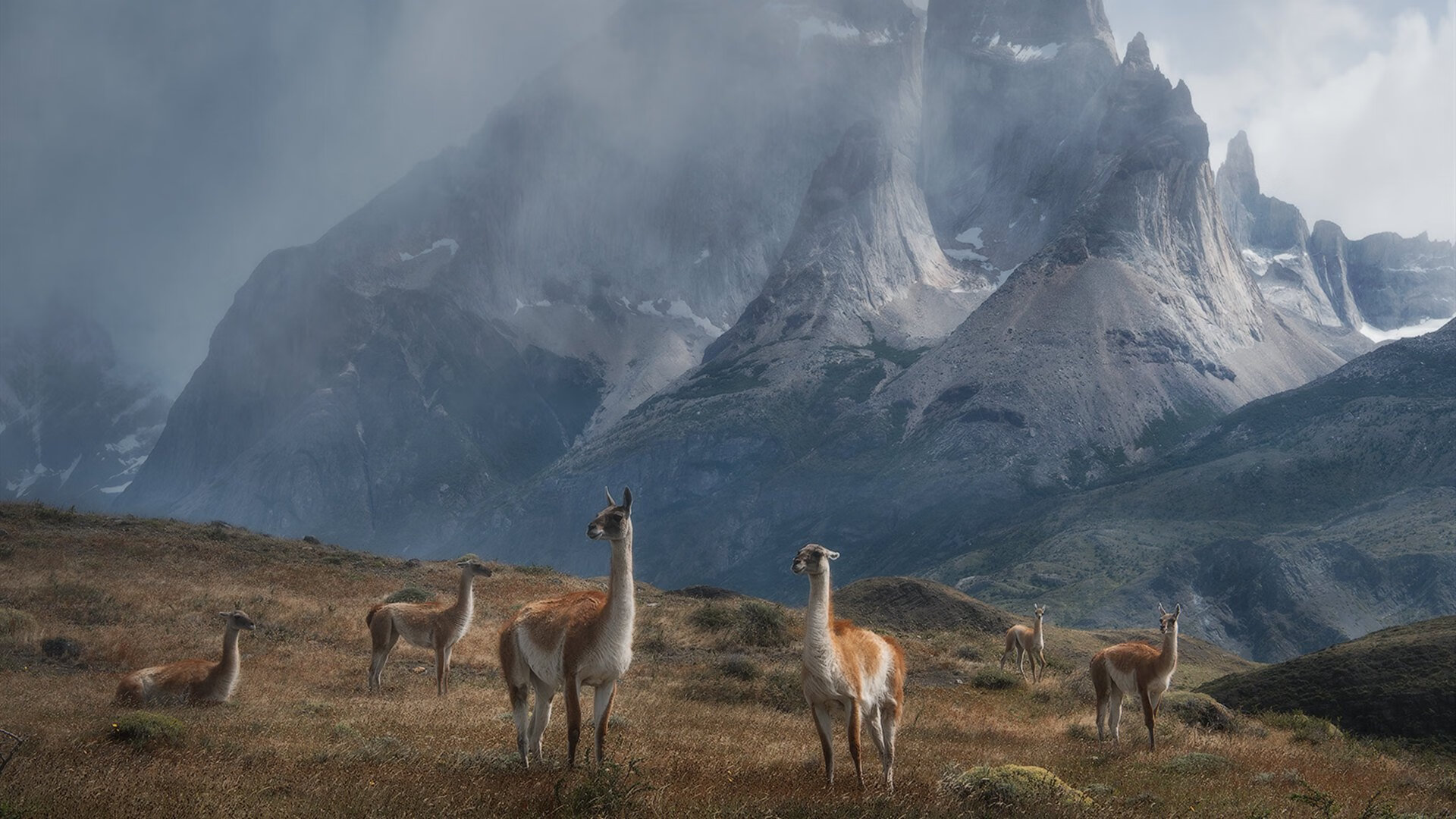 控球断点处理是否成为控球型球队关键训练项目,控球技巧