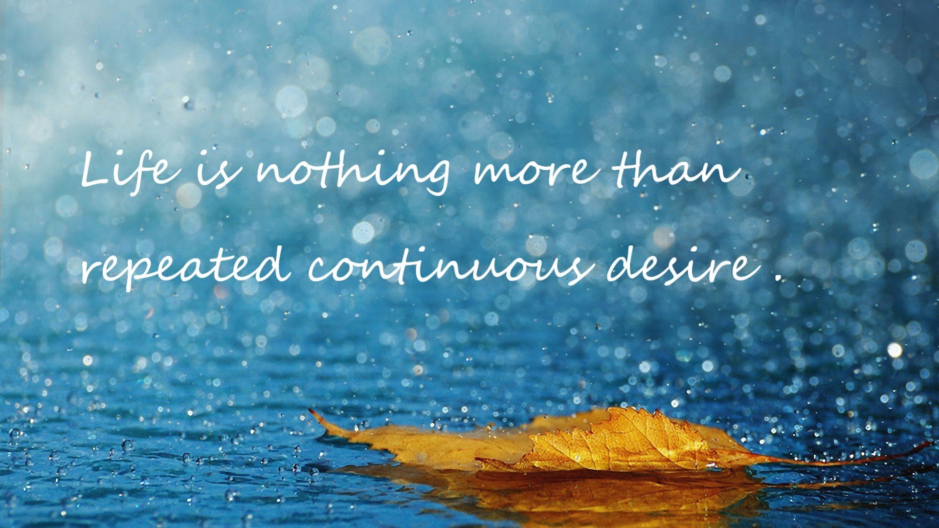 九游电脑版-德甲速度激增：瞬间突入，精彩不断！，德甲最快球员