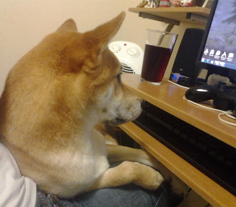 九游下载官网-普劳德50米蝶泳完成绝地反超，普劳德游泳