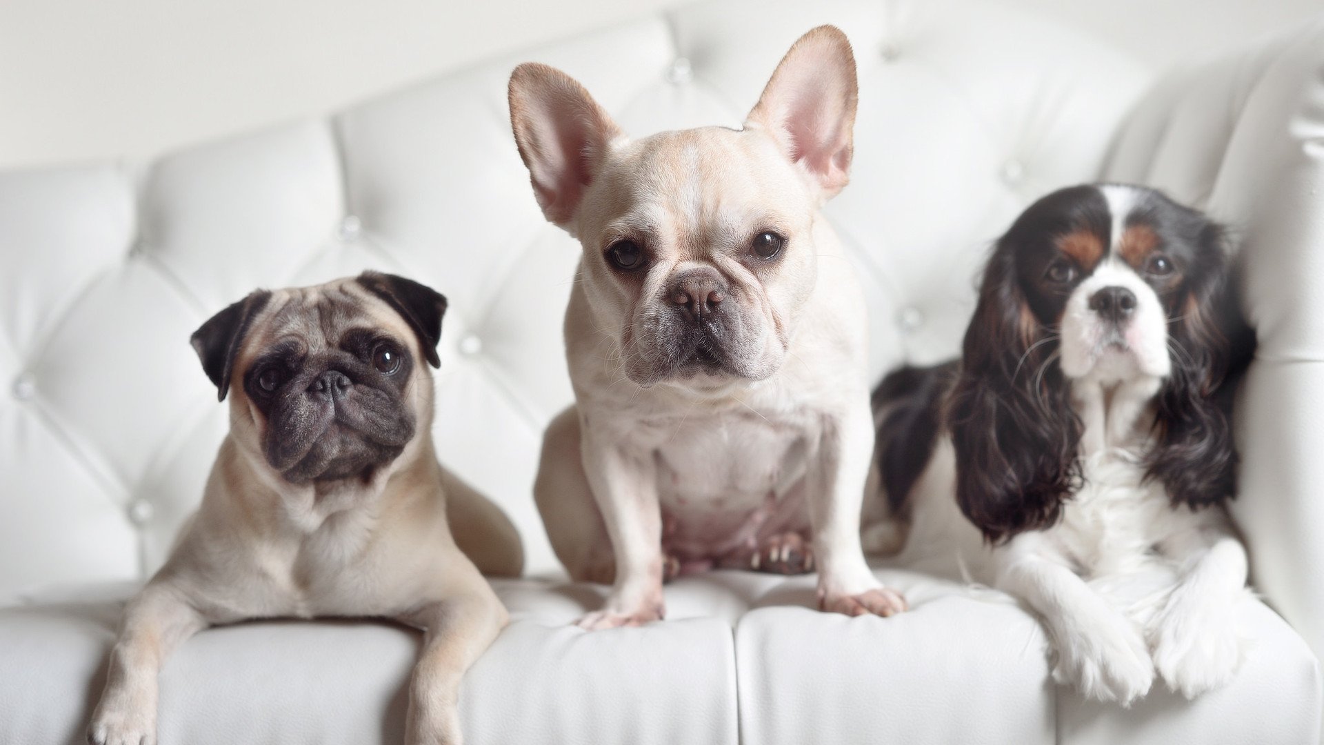 詹姆斯晒训练照称年龄不是问题，詹姆斯训练肌肉照